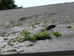 Garland Richardson Texas Storm Roof Repair Service Contractor Company